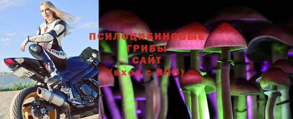 мет Бородино