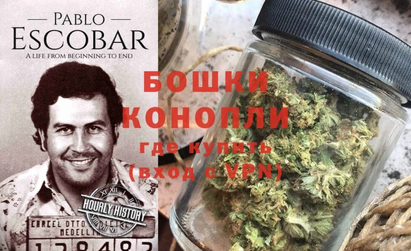 стафф Бронницы