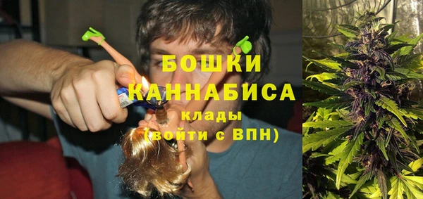 стафф Бронницы