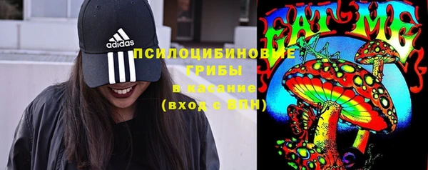 стафф Бронницы
