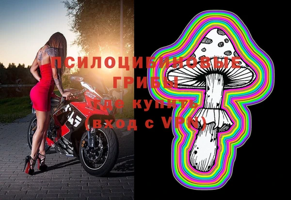 гашик Бугульма