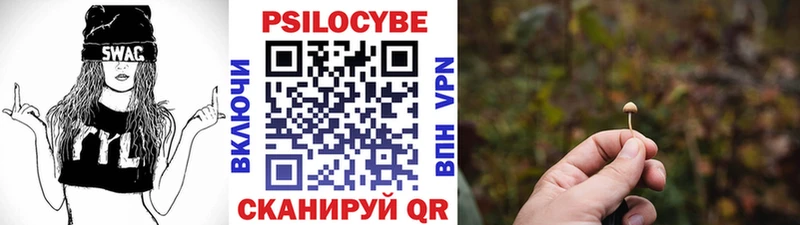 Купить  Кирсанов  Галлюциногенные грибы GOLDEN TEACHER 
